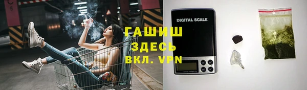 индика Алзамай