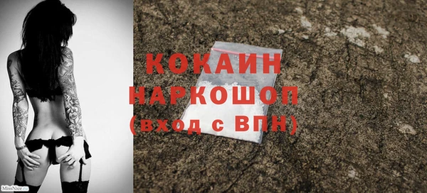 индика Алзамай