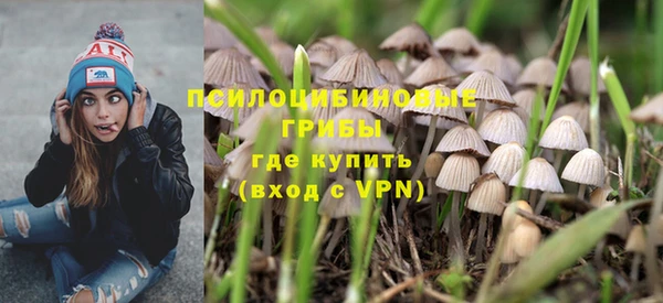 индика Алзамай
