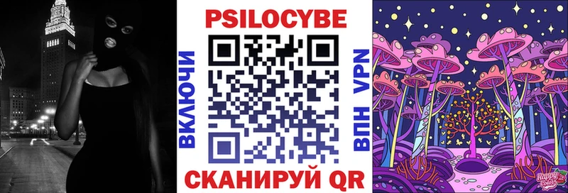 Галлюциногенные грибы Psilocybe  Уссурийск 